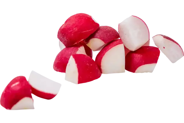 Radijs kwarten bulk